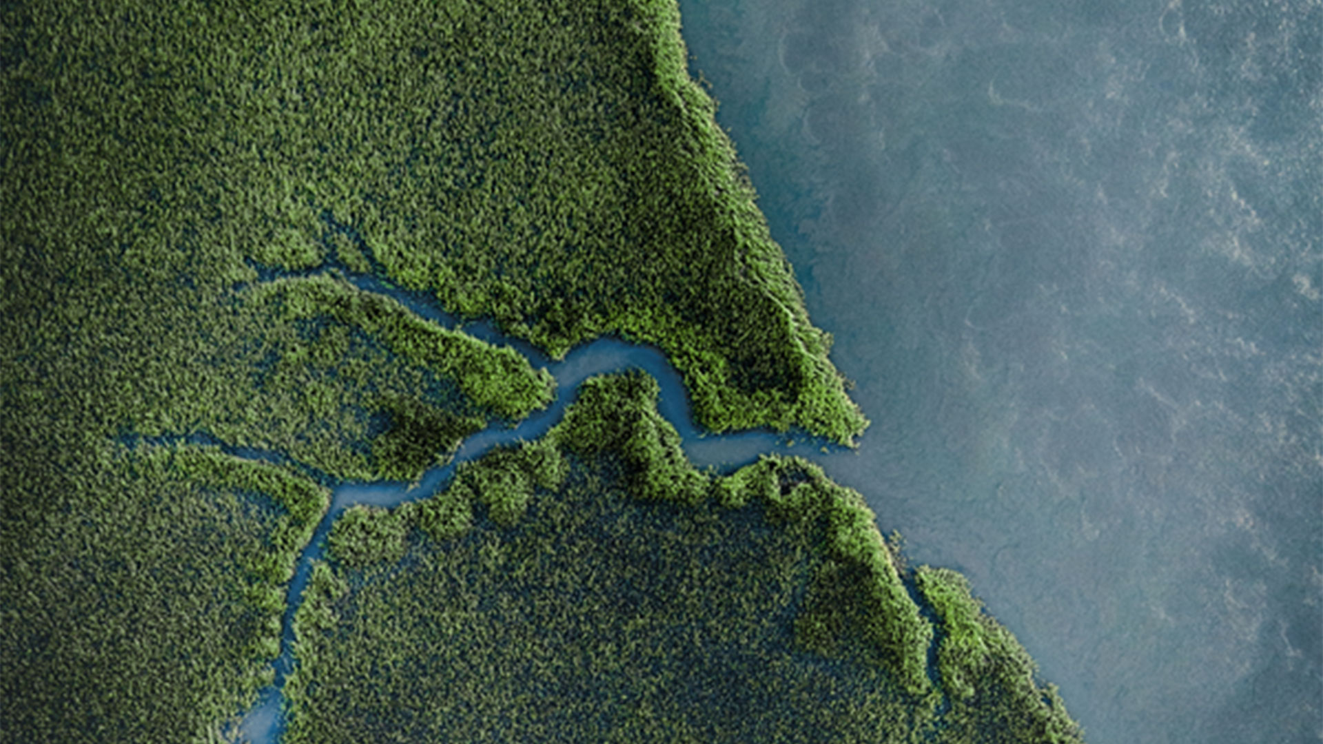 a blue and green map