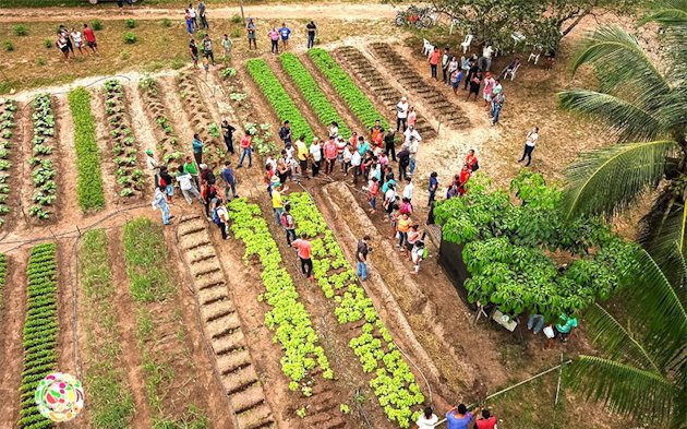 Amesa Project training that attends farmers from 24 communities in Barcarena. Amesa Project training that attends farmers from 24 communities in Barcarena.