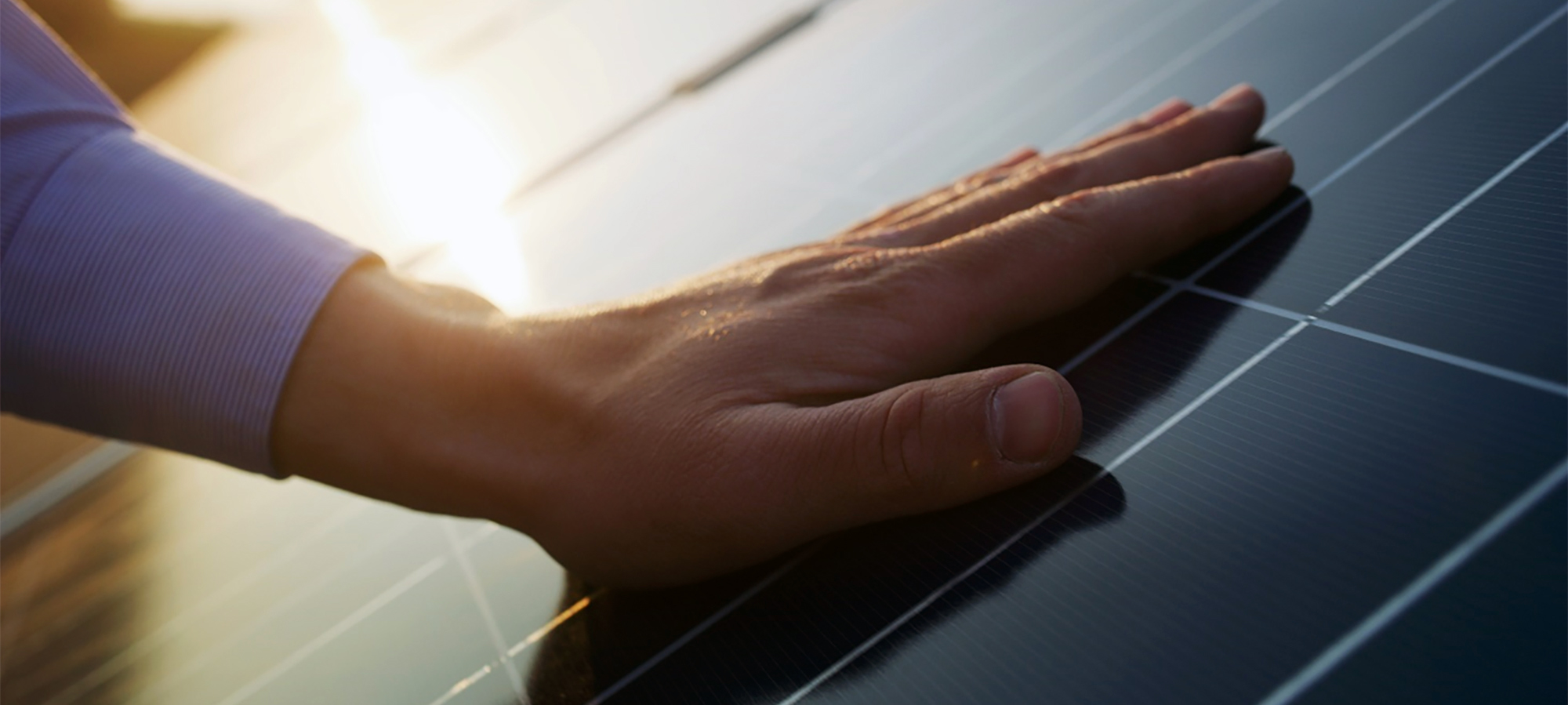 a close-up of a hand on a laptop