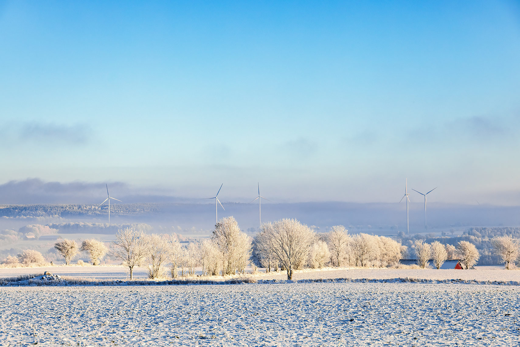 A field of snow with windmills in the distance